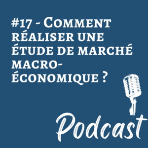 #17 | Comment mettre en place une étude de marché macro-économique ?