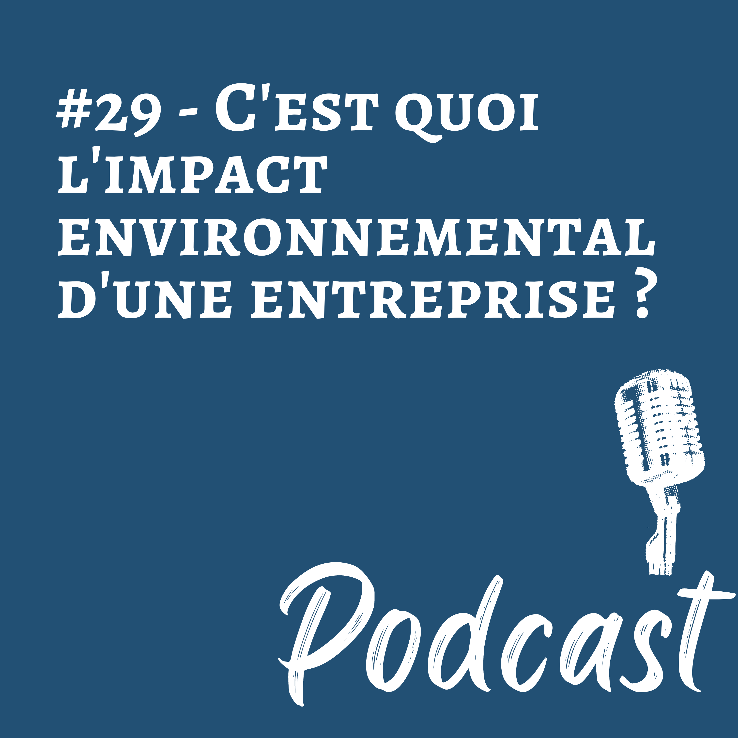 #29 | C’est quoi l’impact environnemental d’une entreprise ?_image