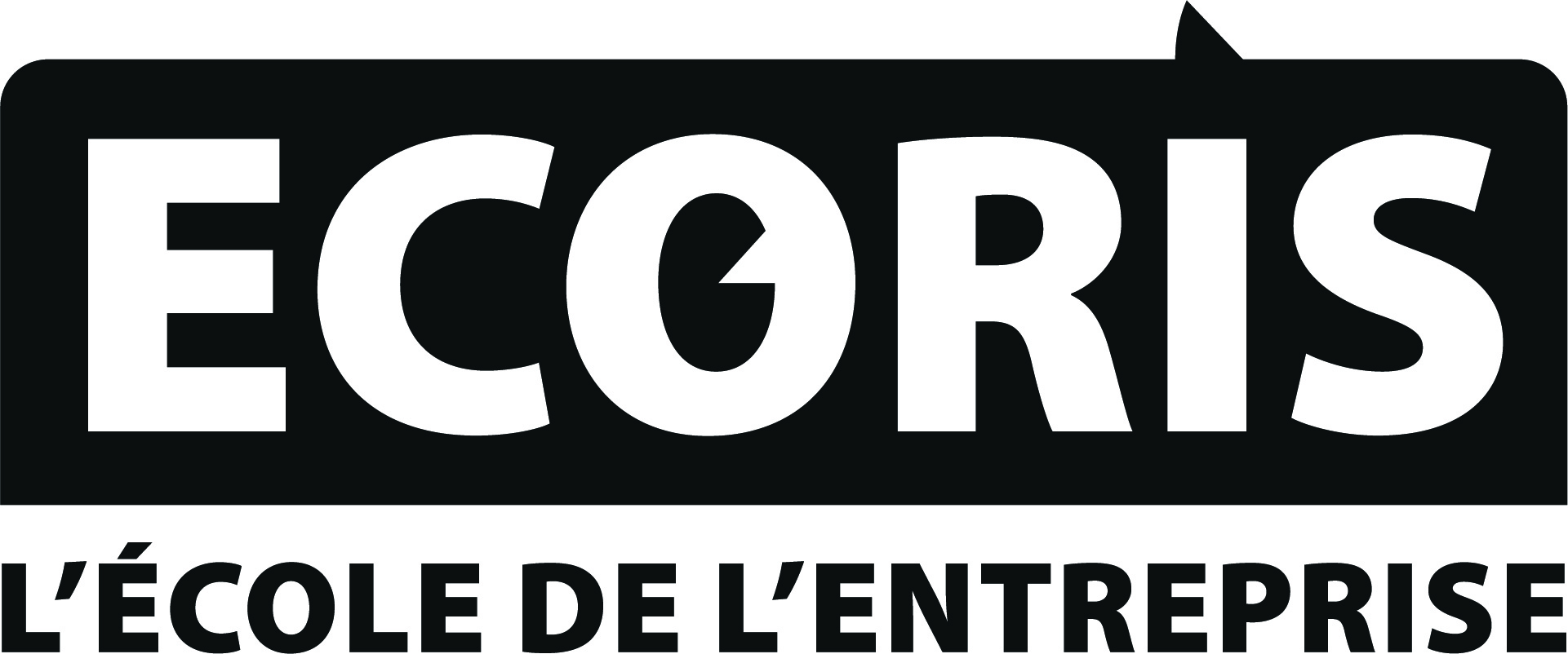 Logo ECORIS