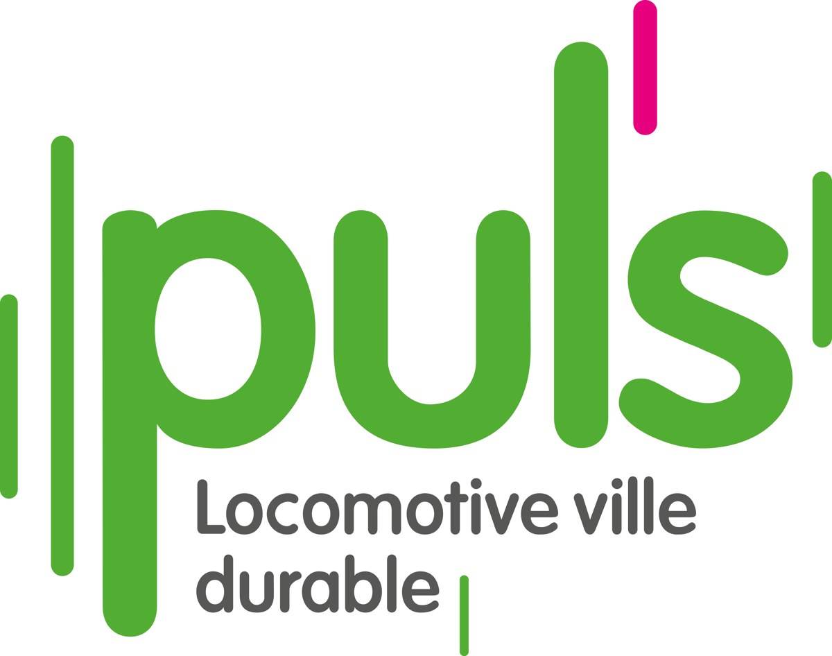 Logo PULS